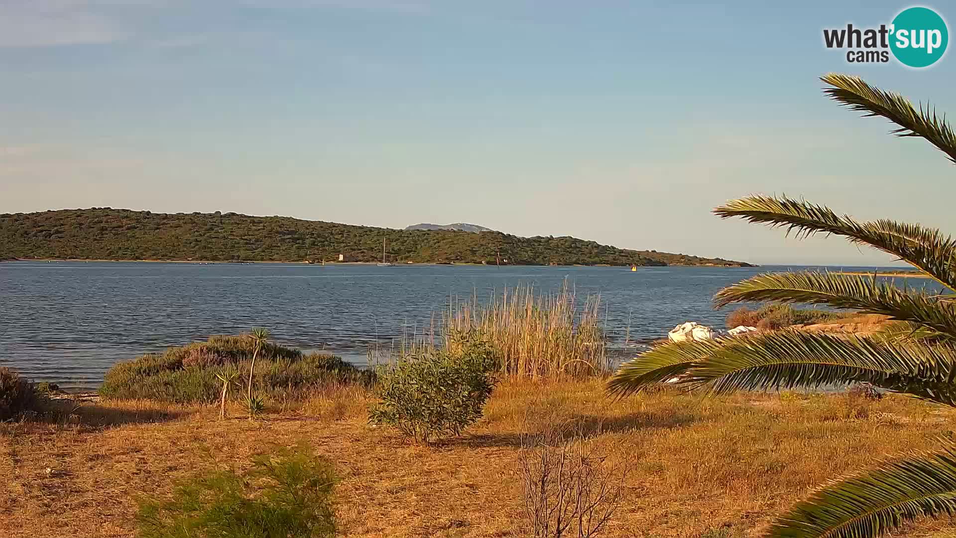 Webcam Hafen Olbia – Eingang zum Hafen von Olbia