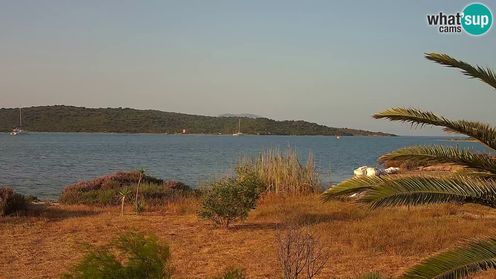 Webcam Olbia port – entrance to the port of Olbia