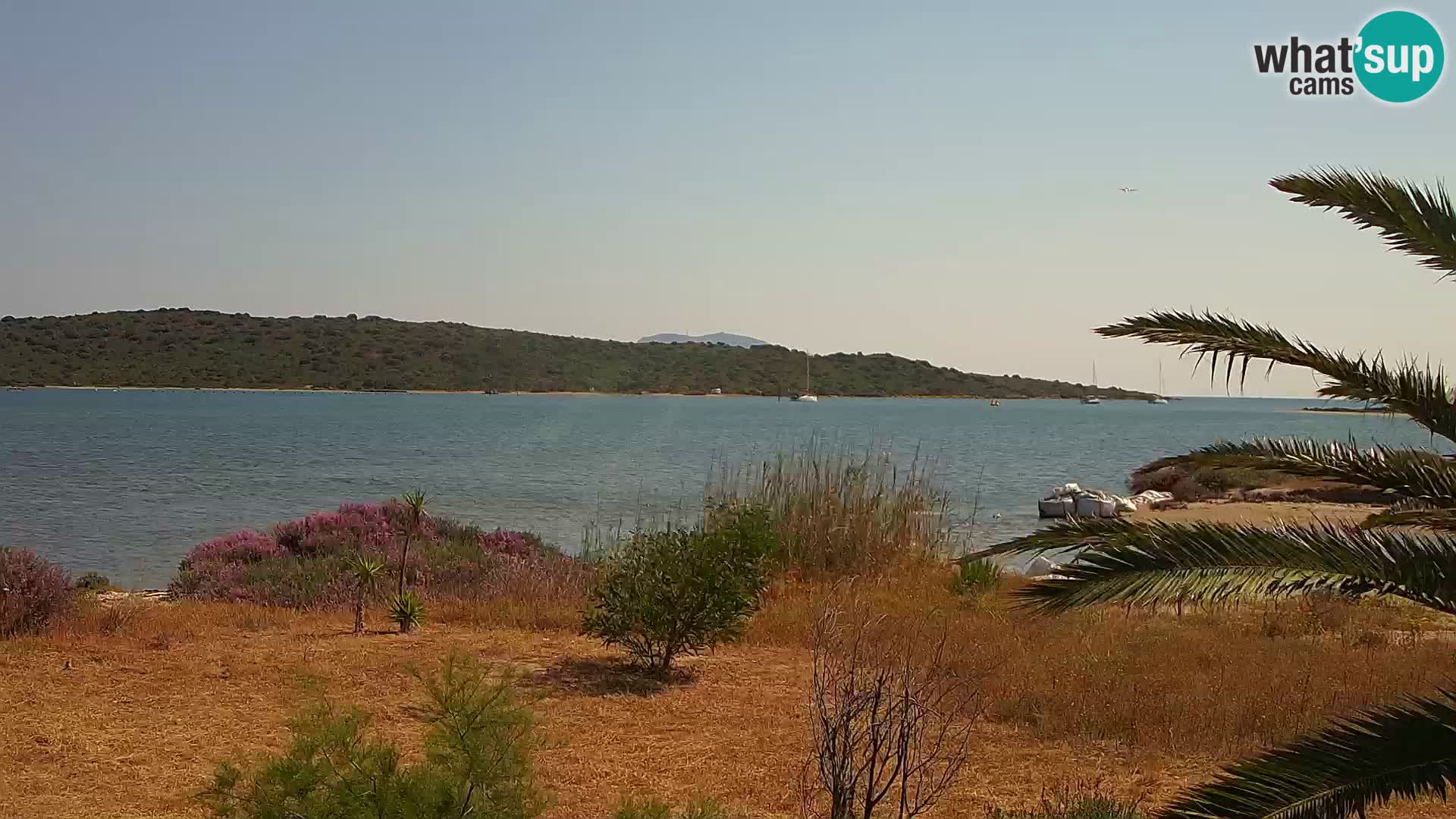 Camera web puerto de Olbia – entrada al puerto de Olbia