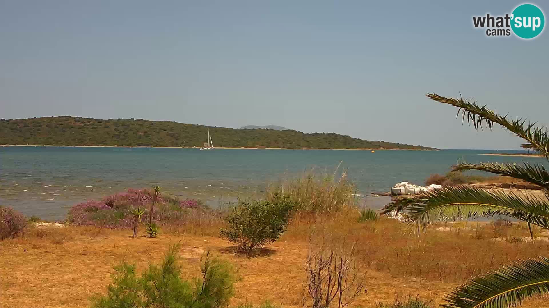 Webcam Olbia port – entrance to the port of Olbia