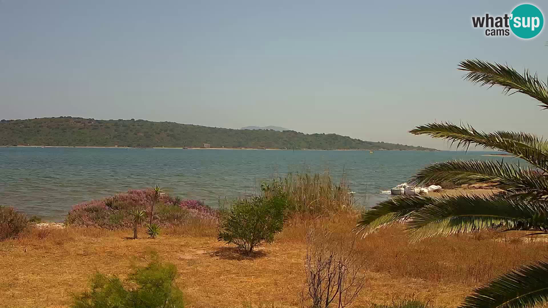 Webcam Olbia port – entrance to the port of Olbia