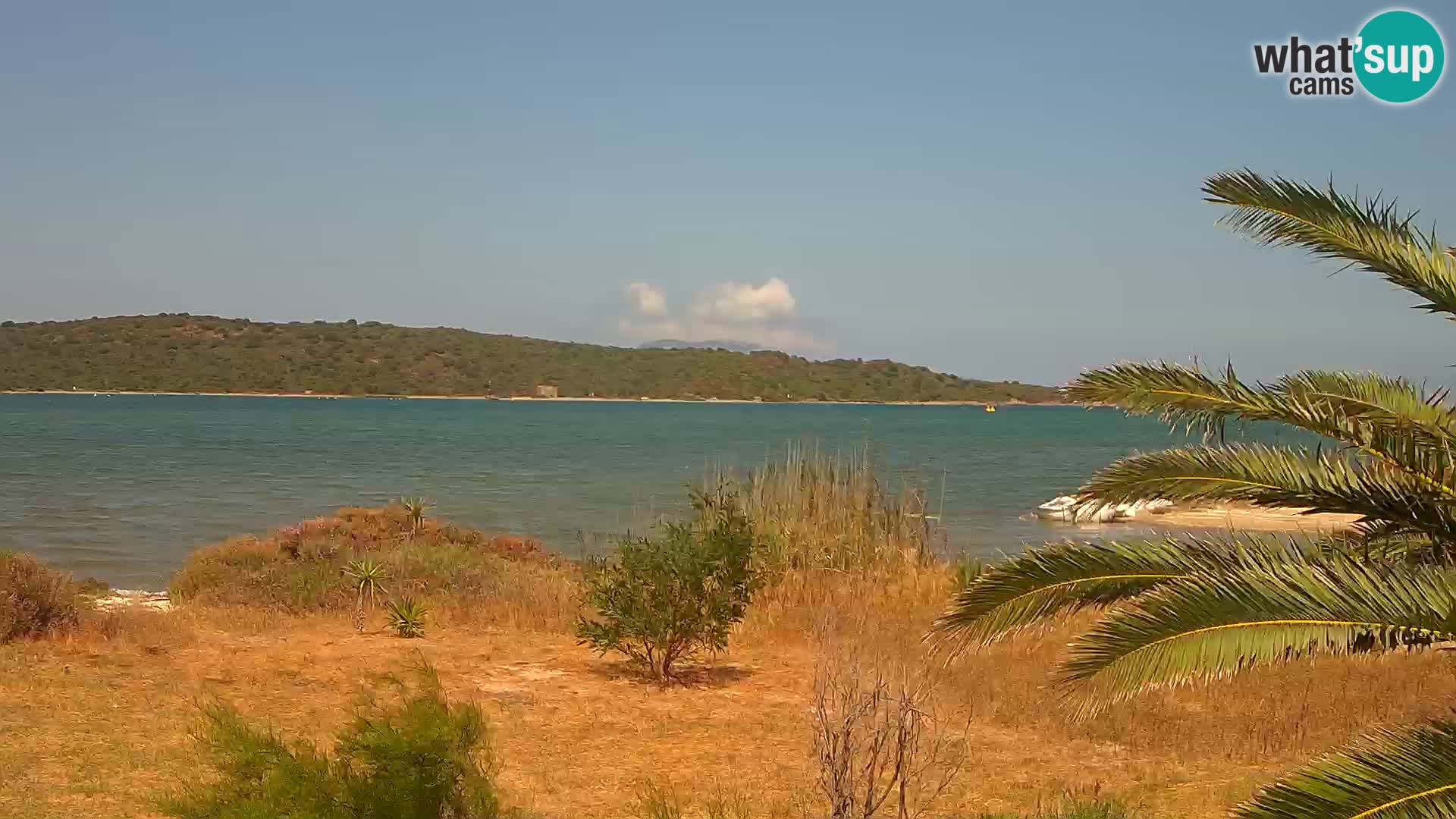 Webcam Olbia port – entrance to the port of Olbia