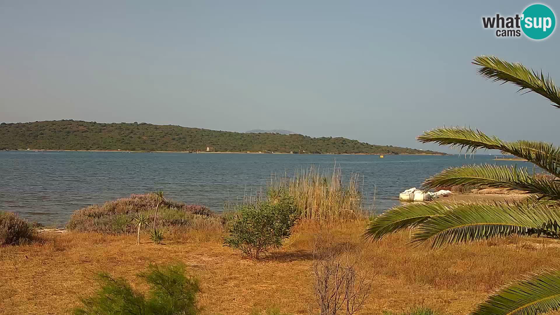 Webcam Olbia port – entrance to the port of Olbia