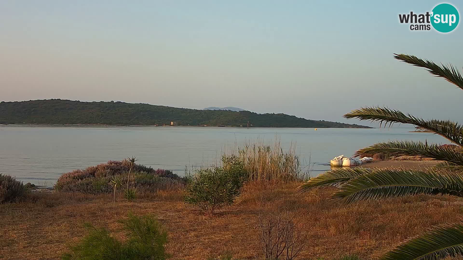 Webcam Olbia port – entrance to the port of Olbia