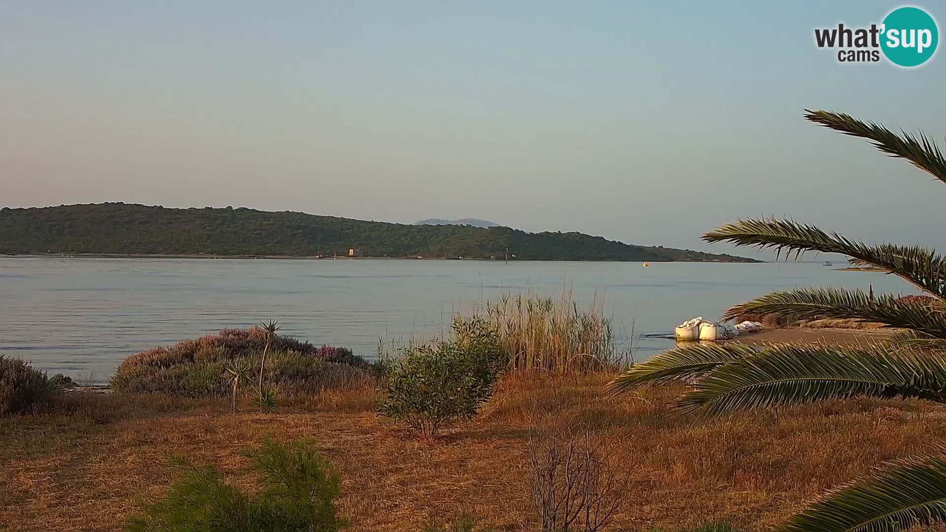 Webcam Olbia port – entrance to the port of Olbia