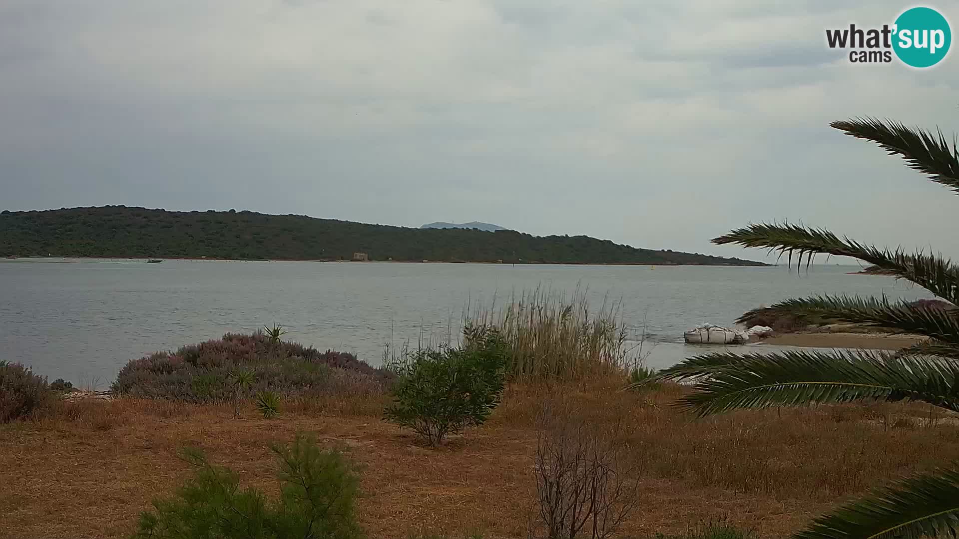 Camera web puerto de Olbia – entrada al puerto de Olbia
