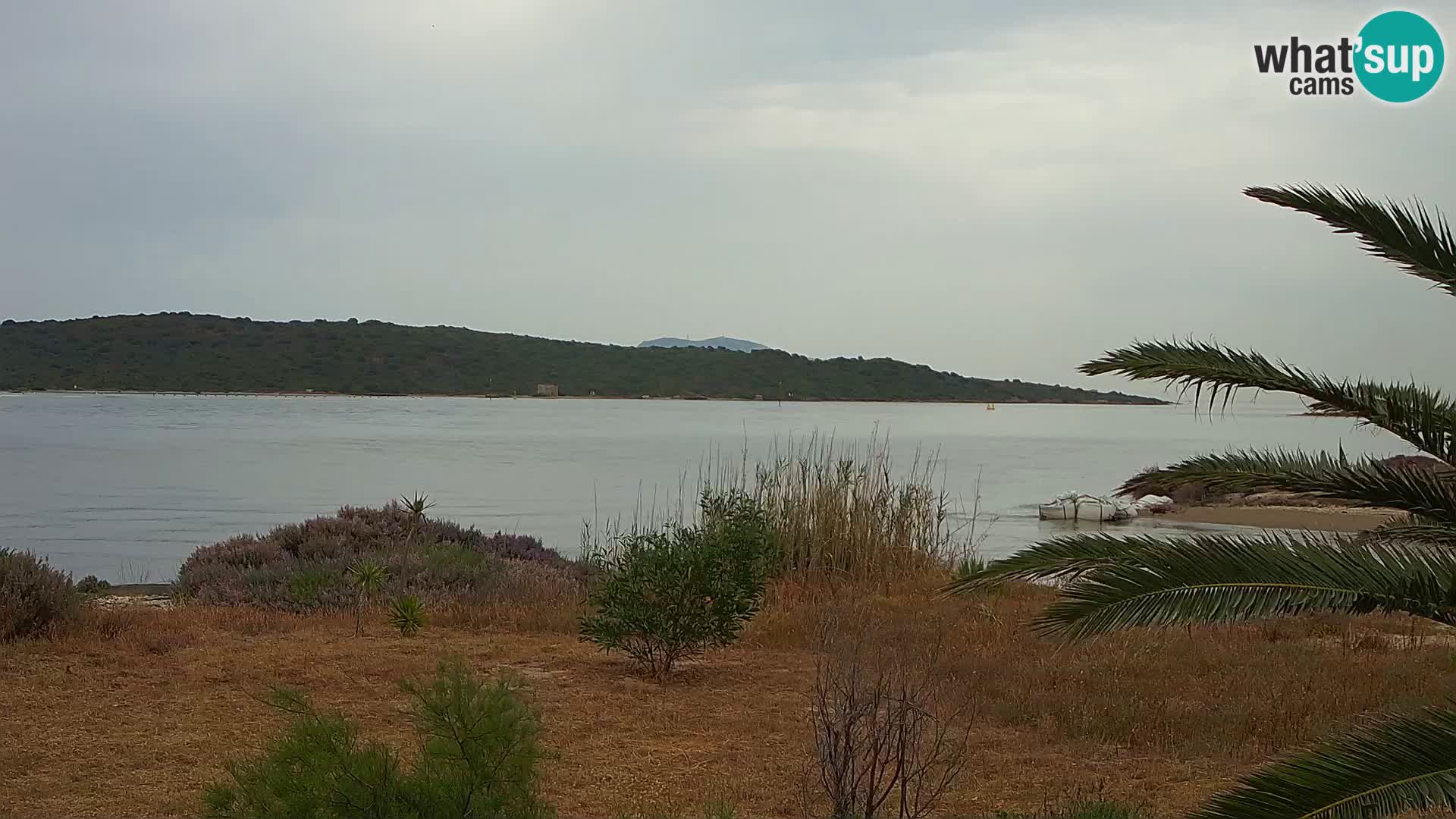 Webcam porto di Olbia – entrata nel porto di Olbia