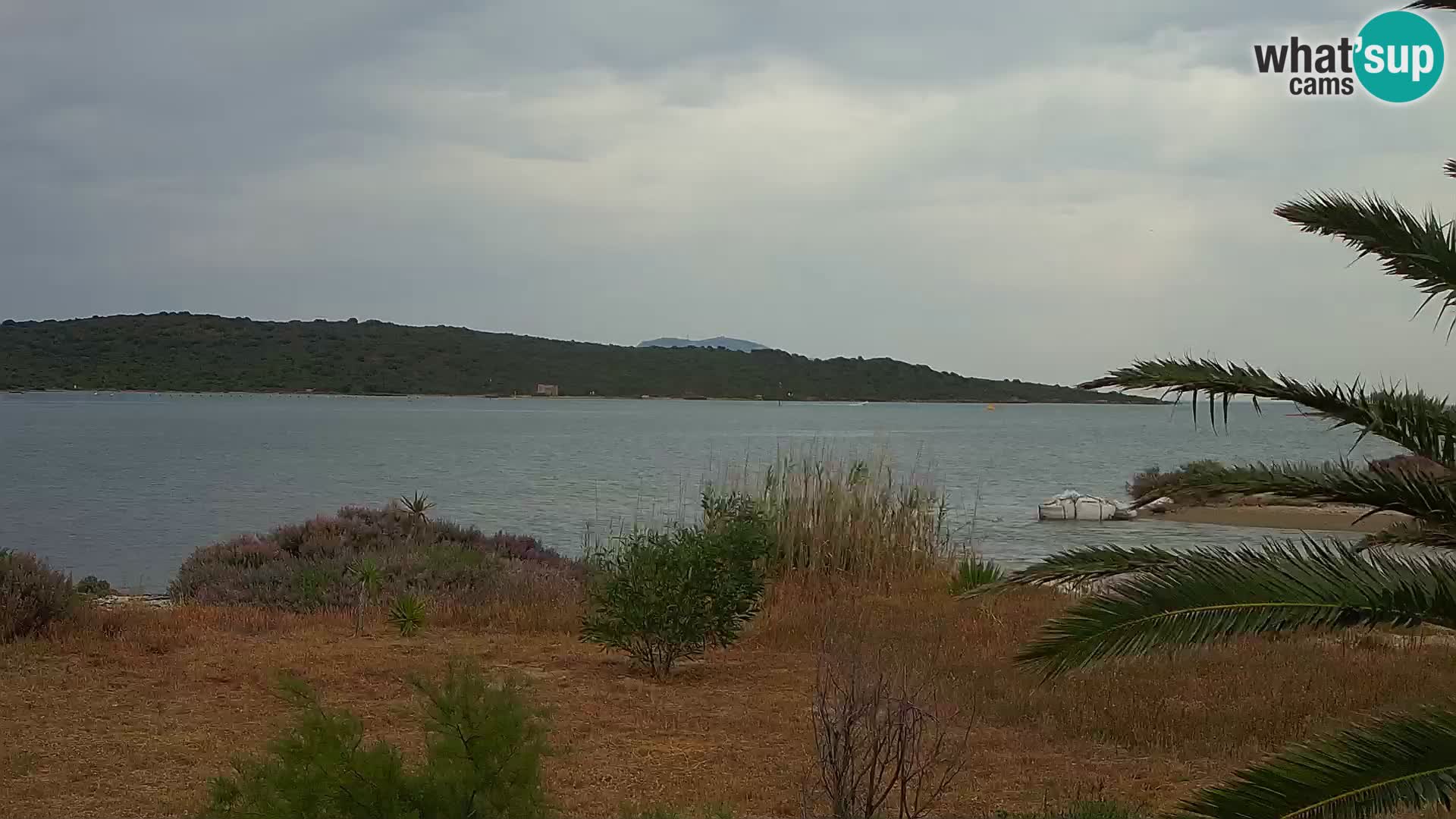 Webcam port d’Olbia – entrée du port d’Olbia