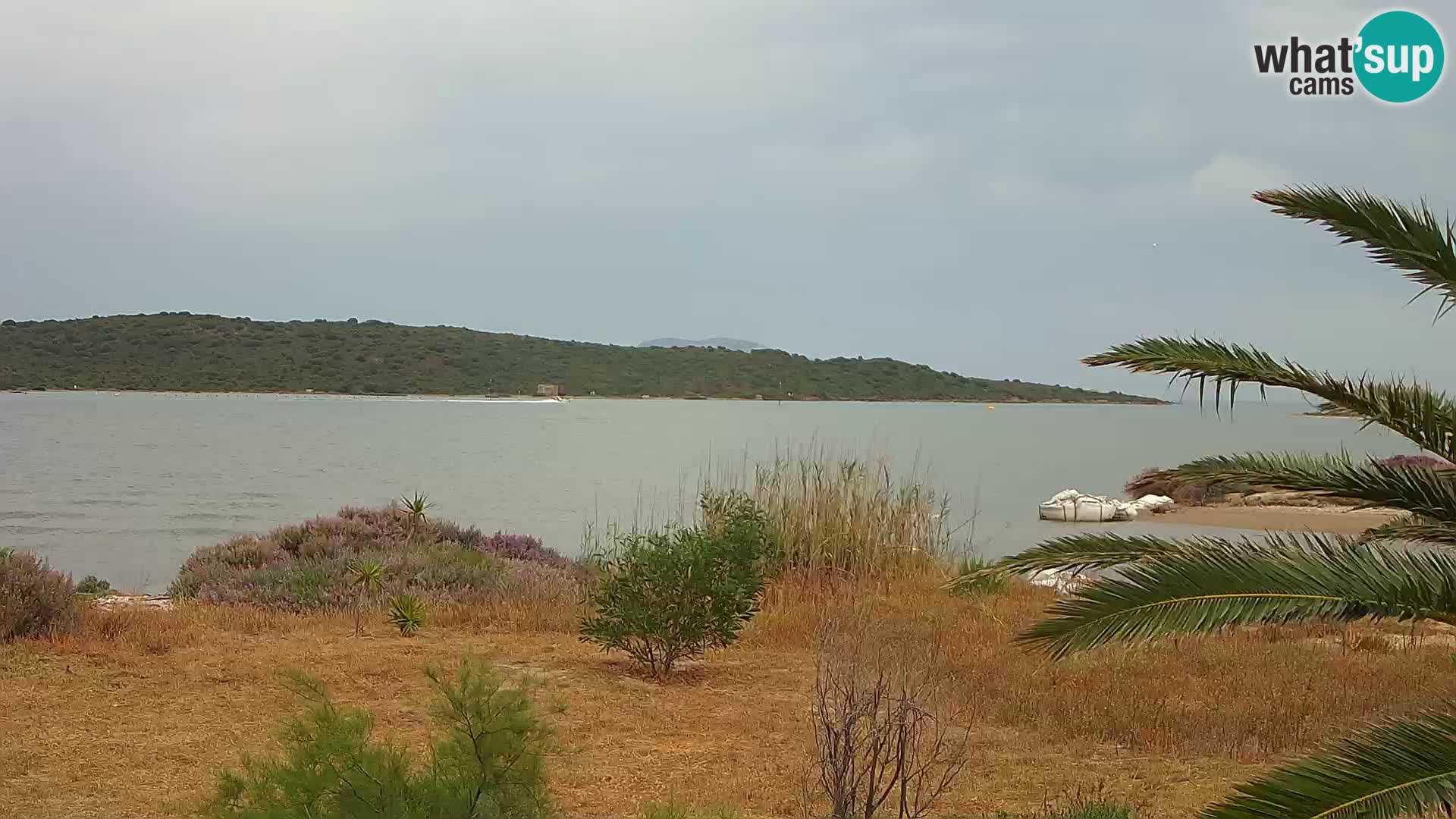Webcam Hafen Olbia – Eingang zum Hafen von Olbia