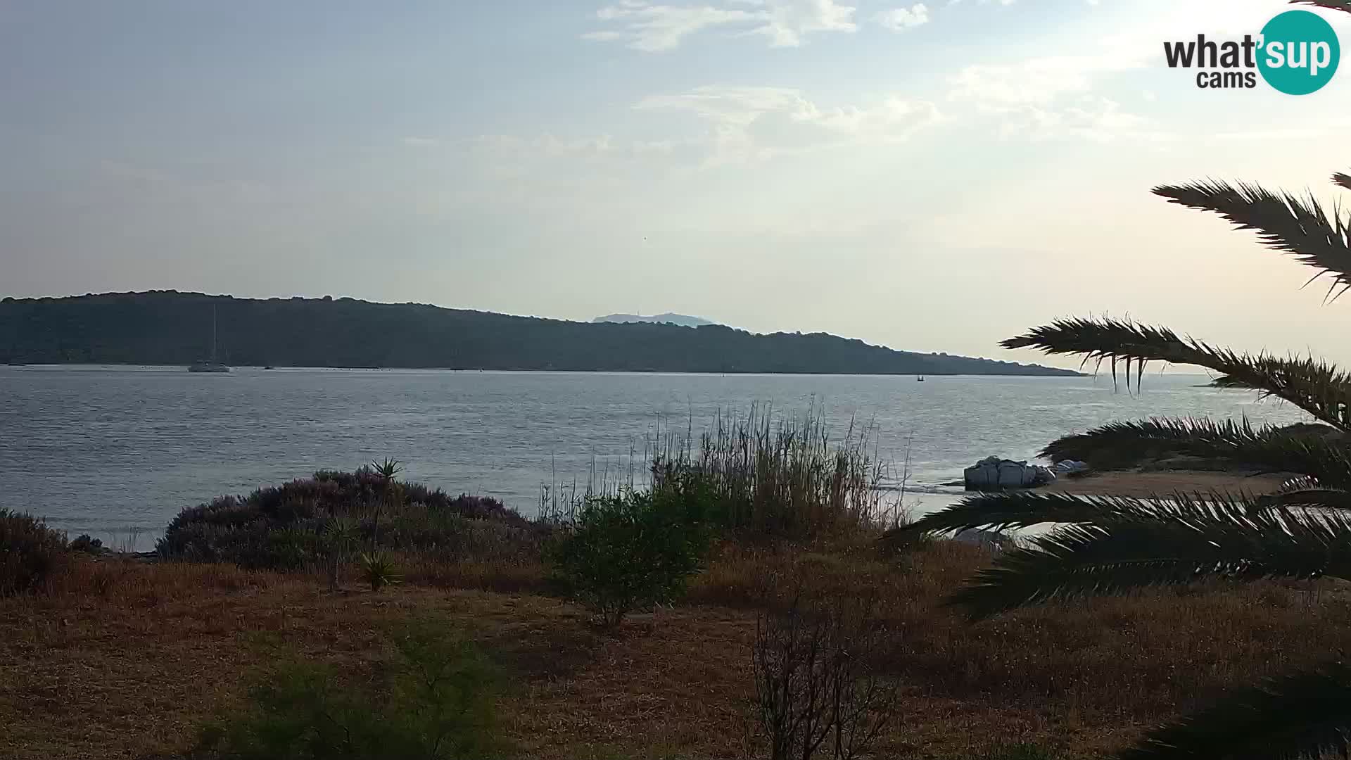 Webcam Hafen Olbia – Eingang zum Hafen von Olbia