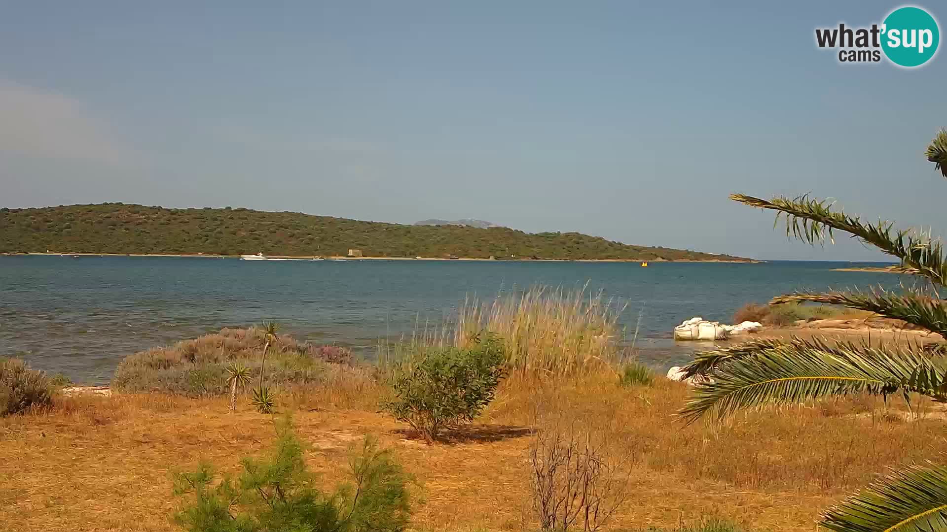 Webcam port d’Olbia – entrée du port d’Olbia