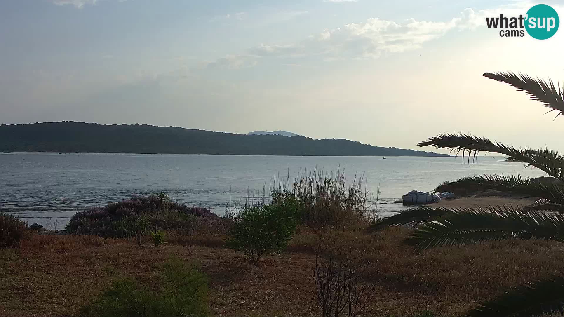 Webcam porto di Olbia – entrata nel porto di Olbia