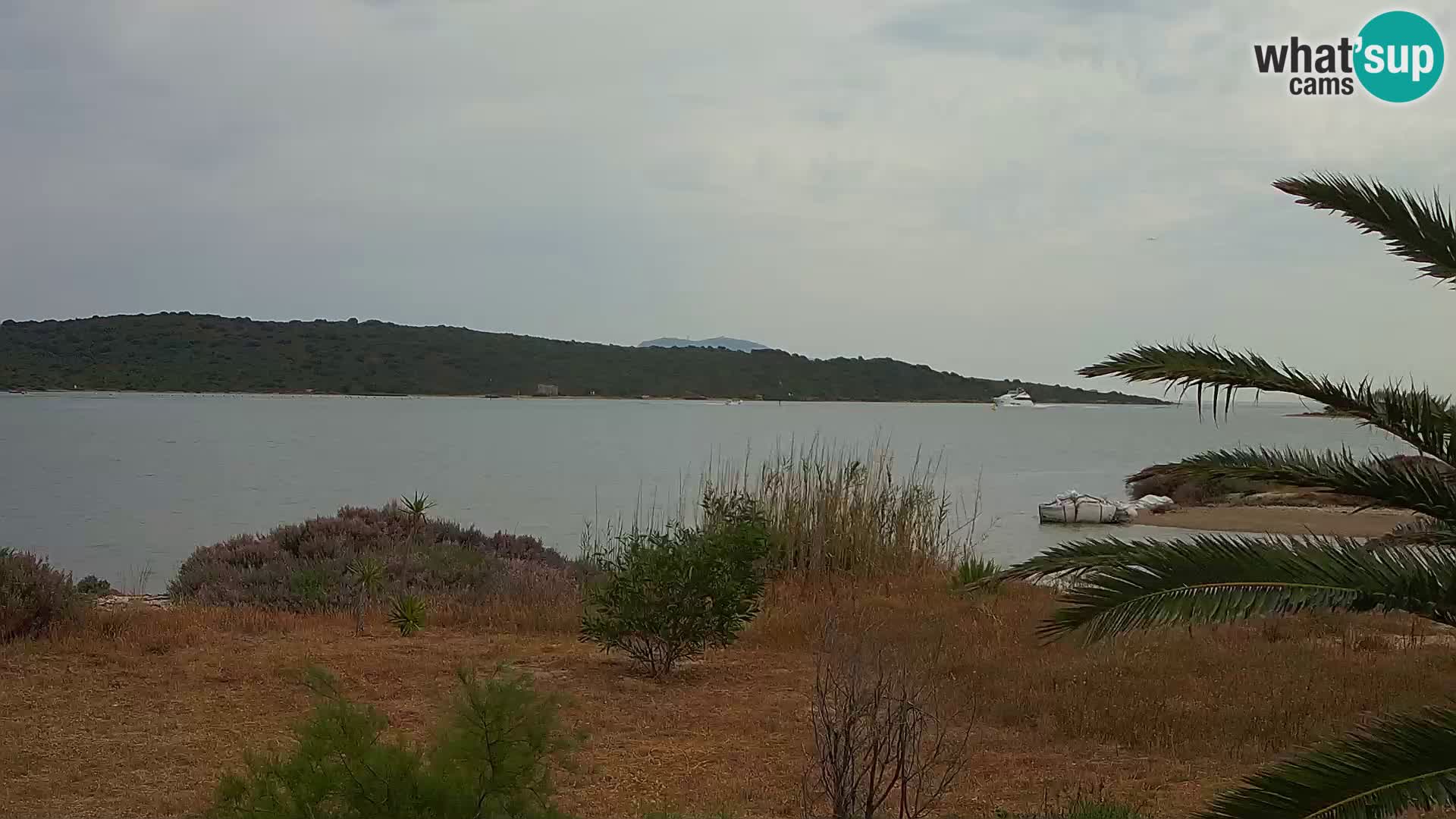 Webcam Hafen Olbia – Eingang zum Hafen von Olbia