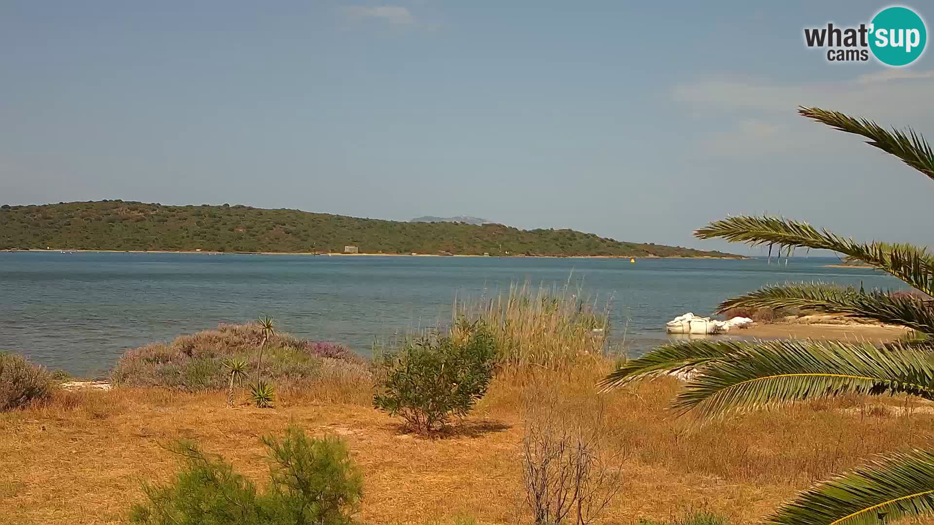 Webcam Hafen Olbia – Eingang zum Hafen von Olbia