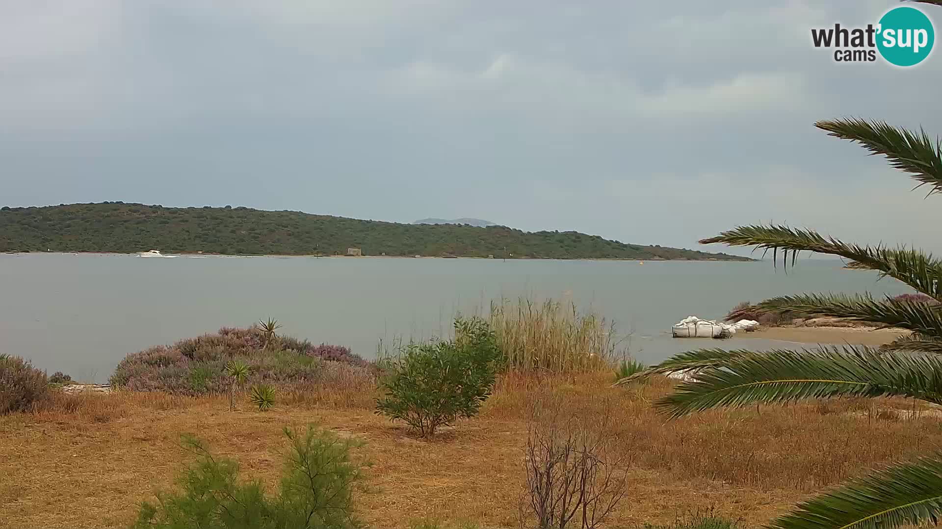 Web kamera Olbia luka – ulaz u luku Olbia