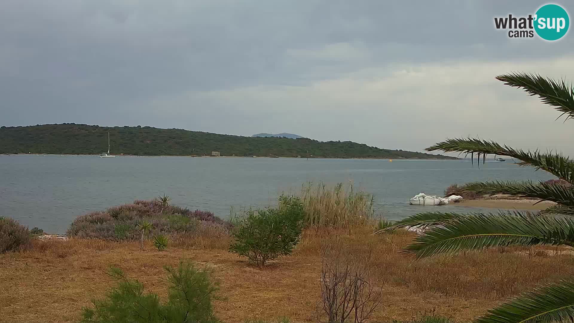 Webcam porto di Olbia – entrata nel porto di Olbia