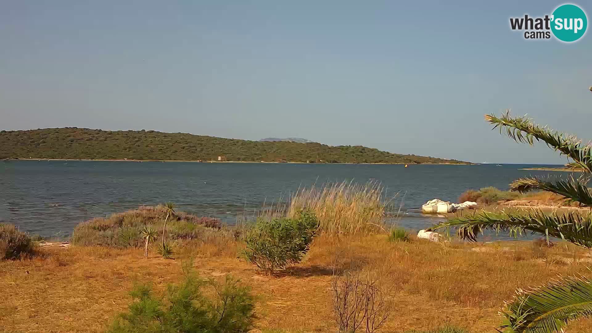 Webcam porto di Olbia – entrata nel porto di Olbia