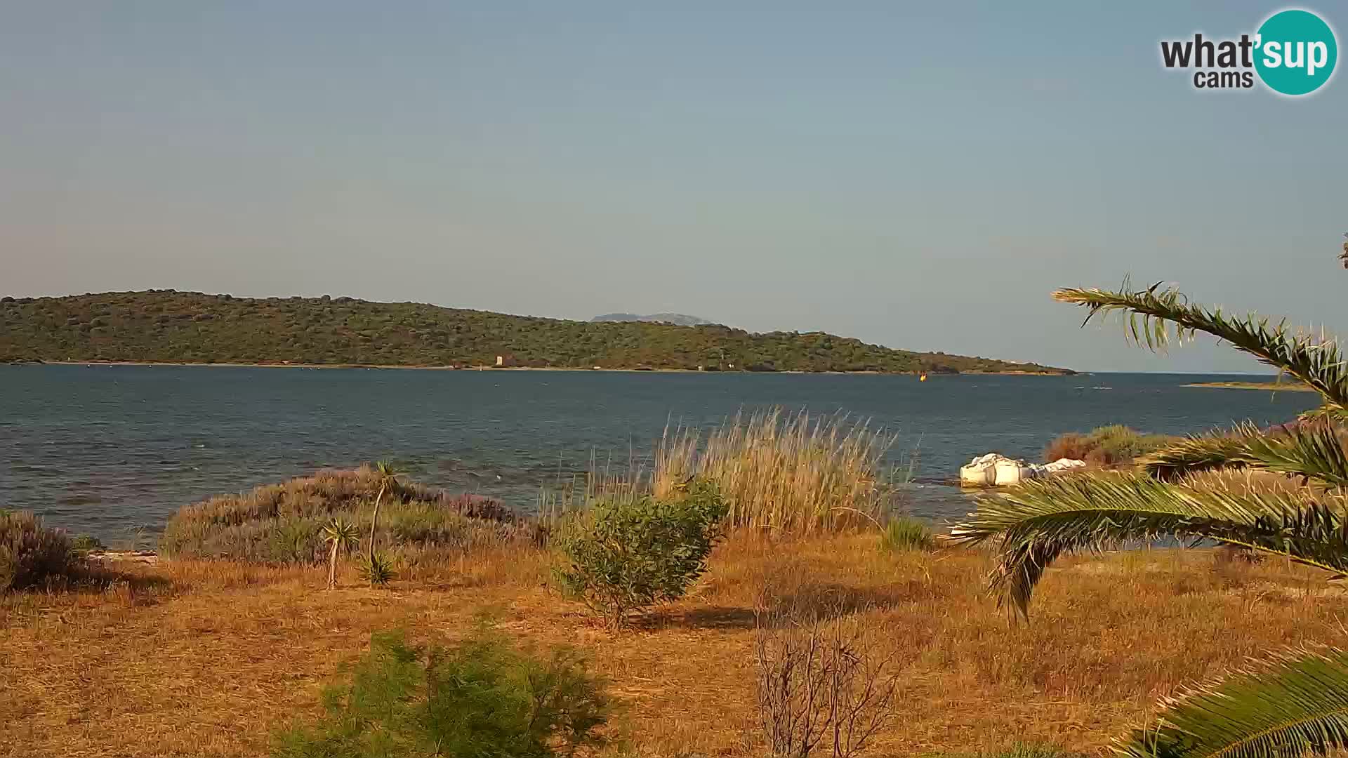 Webcam Hafen Olbia – Eingang zum Hafen von Olbia