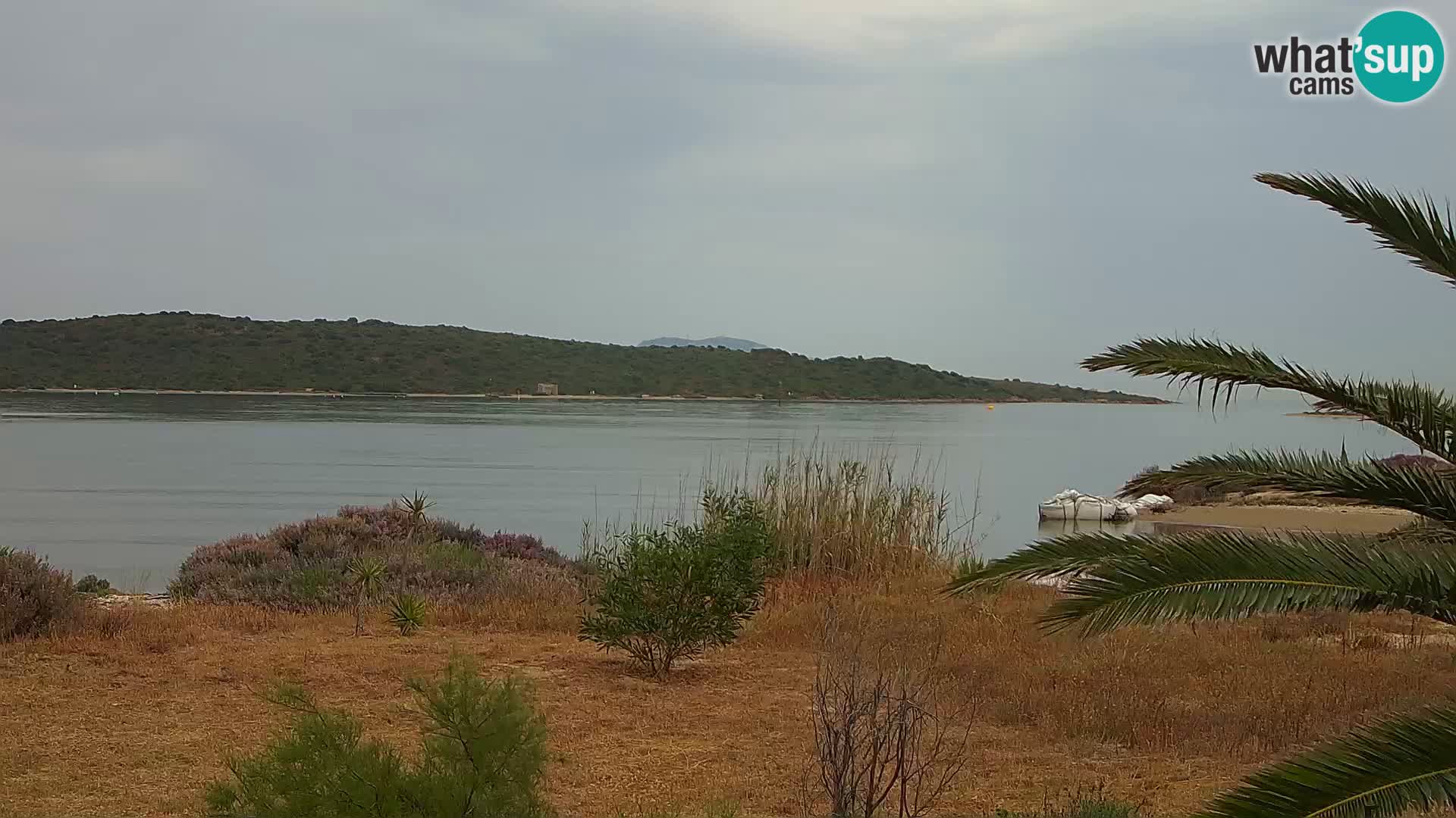 Webcam Hafen Olbia – Eingang zum Hafen von Olbia