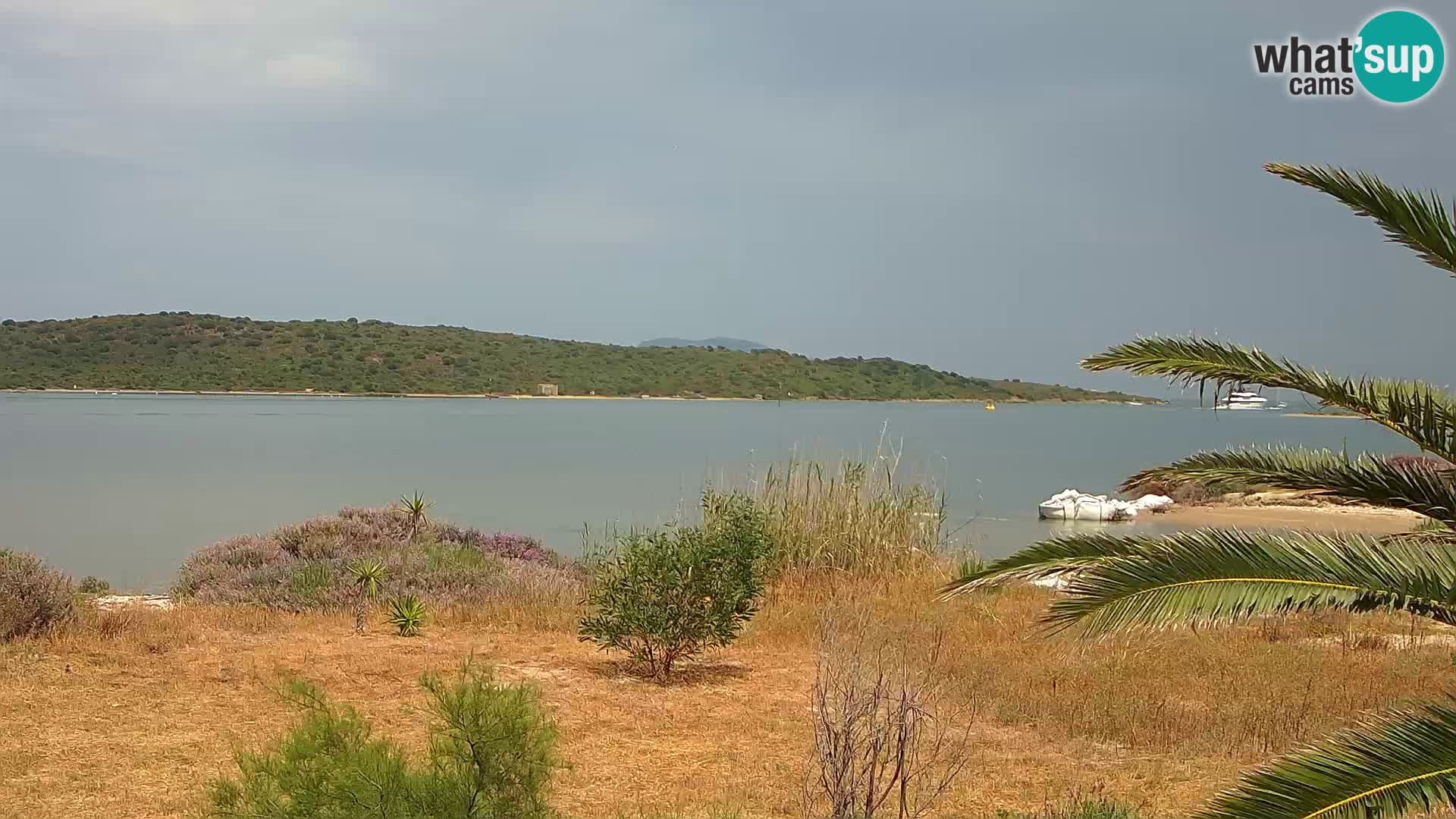 Spletna kamera pristanišče Olbia – vhod v pristanišče Olbia
