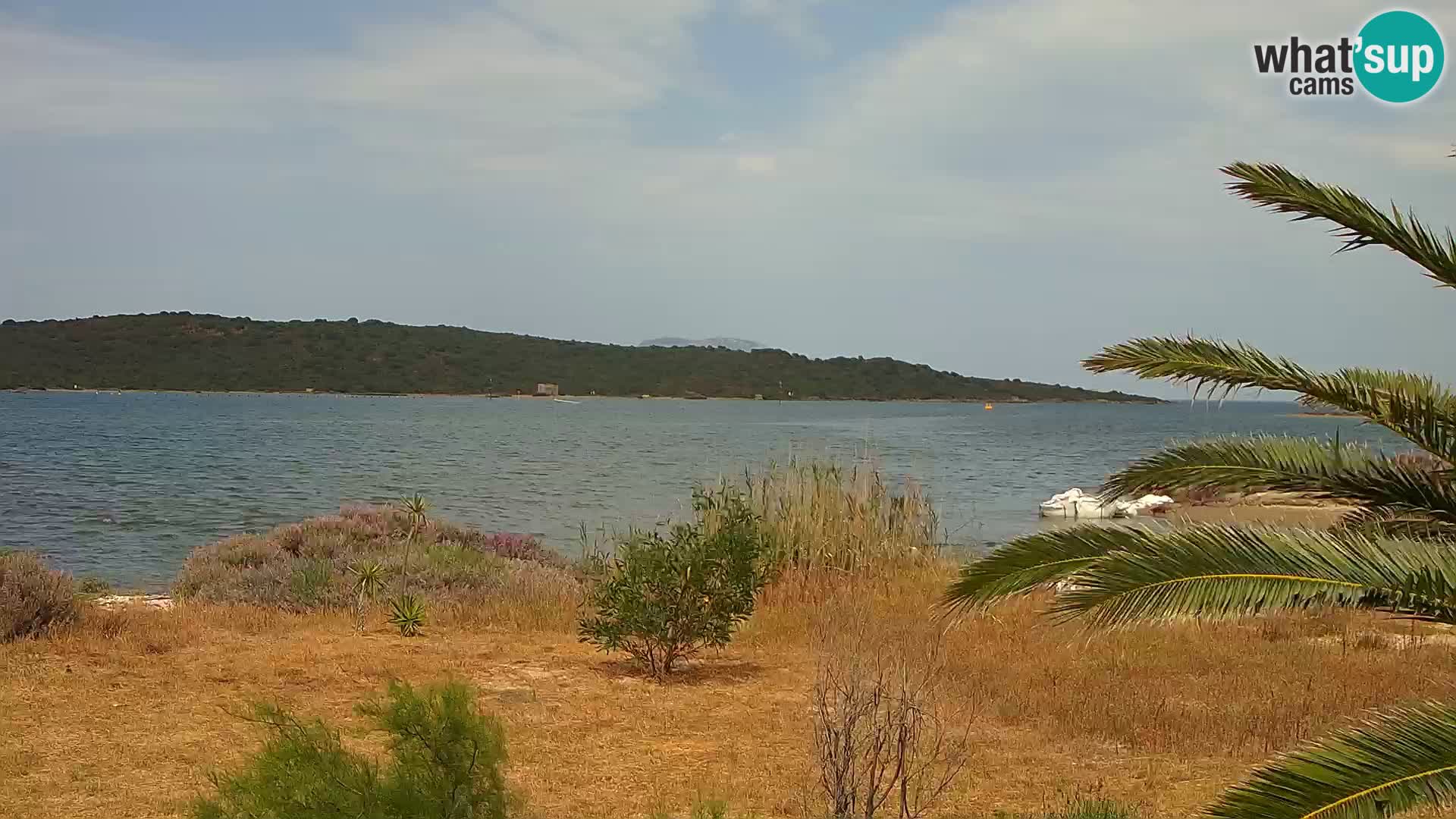 Camera web puerto de Olbia – entrada al puerto de Olbia