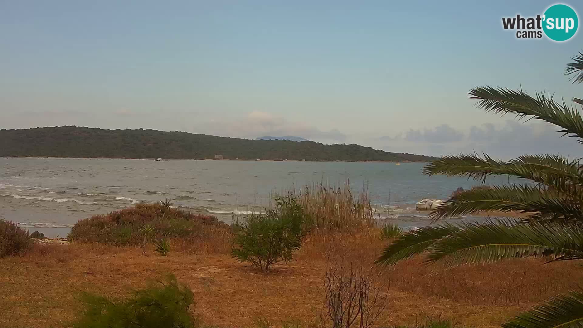 Webcam Olbia port – entrance to the port of Olbia