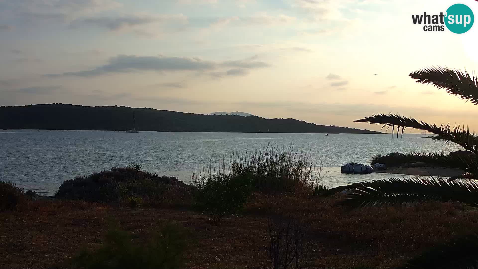 Camera web puerto de Olbia – entrada al puerto de Olbia