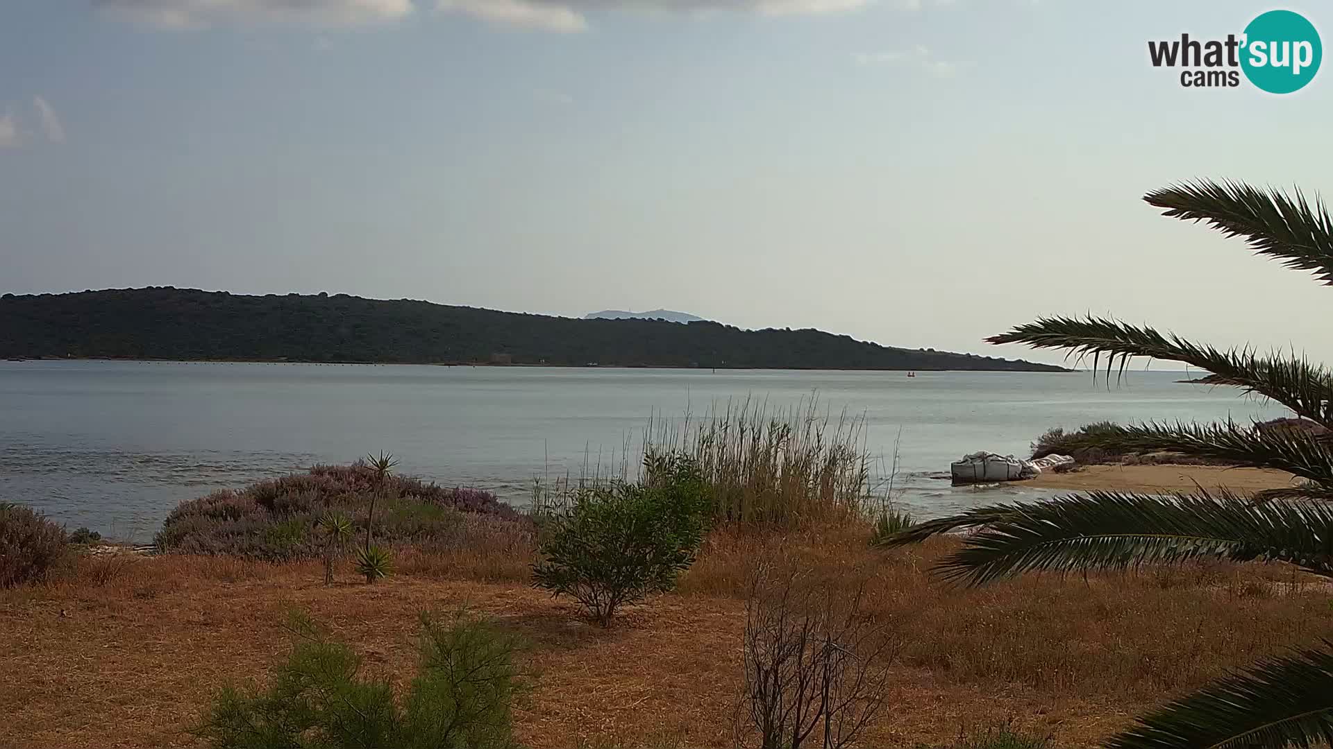 Webcam Hafen Olbia – Eingang zum Hafen von Olbia