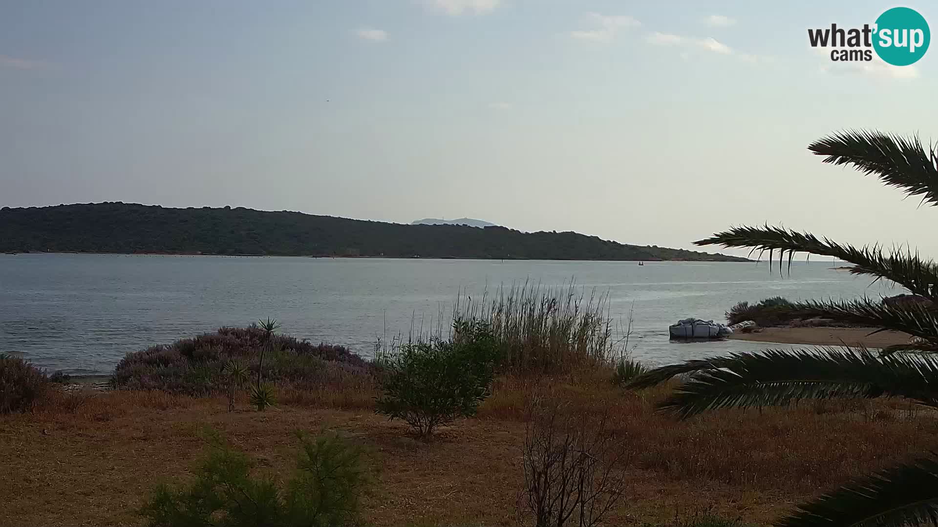 Webcam Olbia port – entrance to the port of Olbia