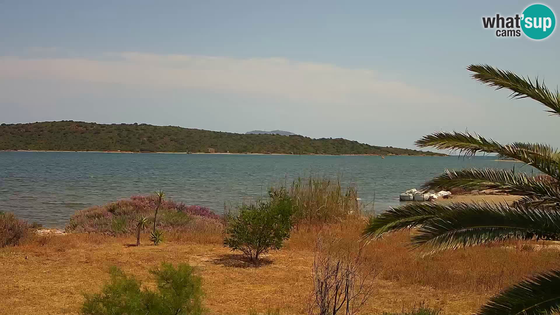 Spletna kamera pristanišče Olbia – vhod v pristanišče Olbia