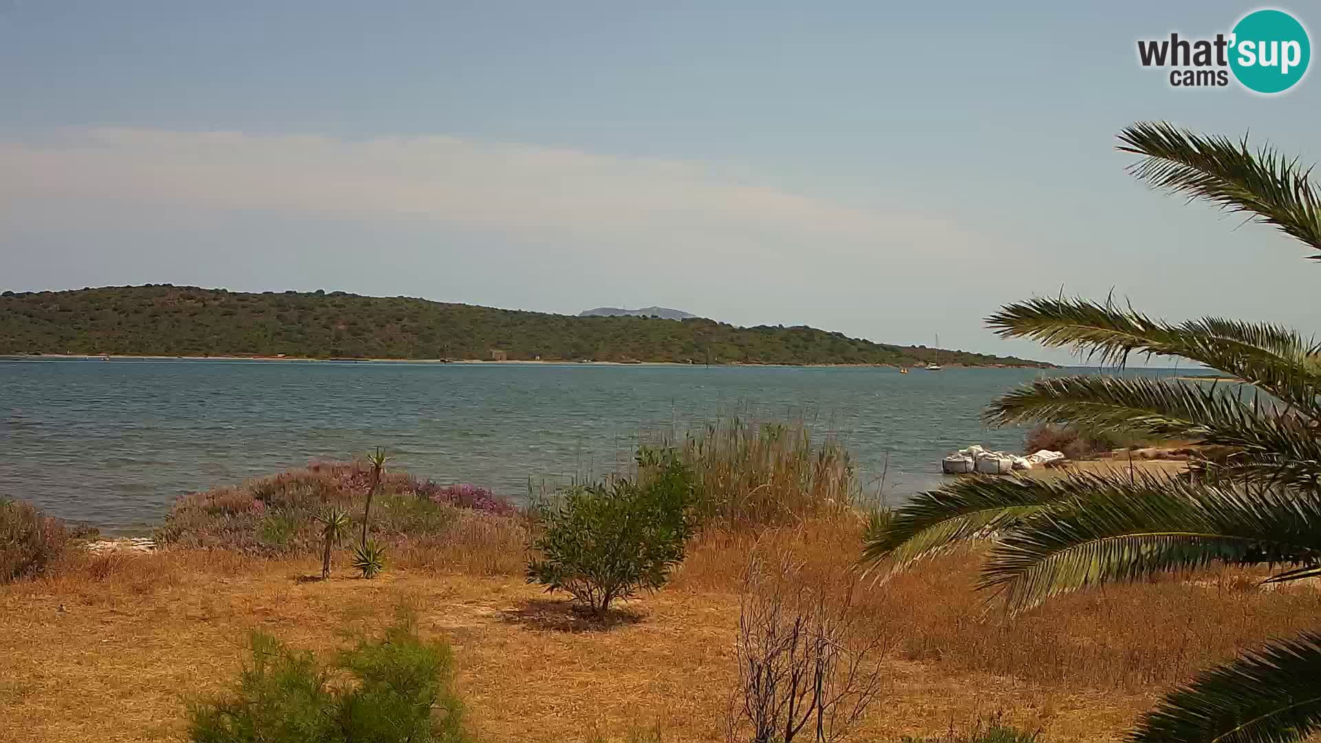 Webcam porto di Olbia – entrata nel porto di Olbia