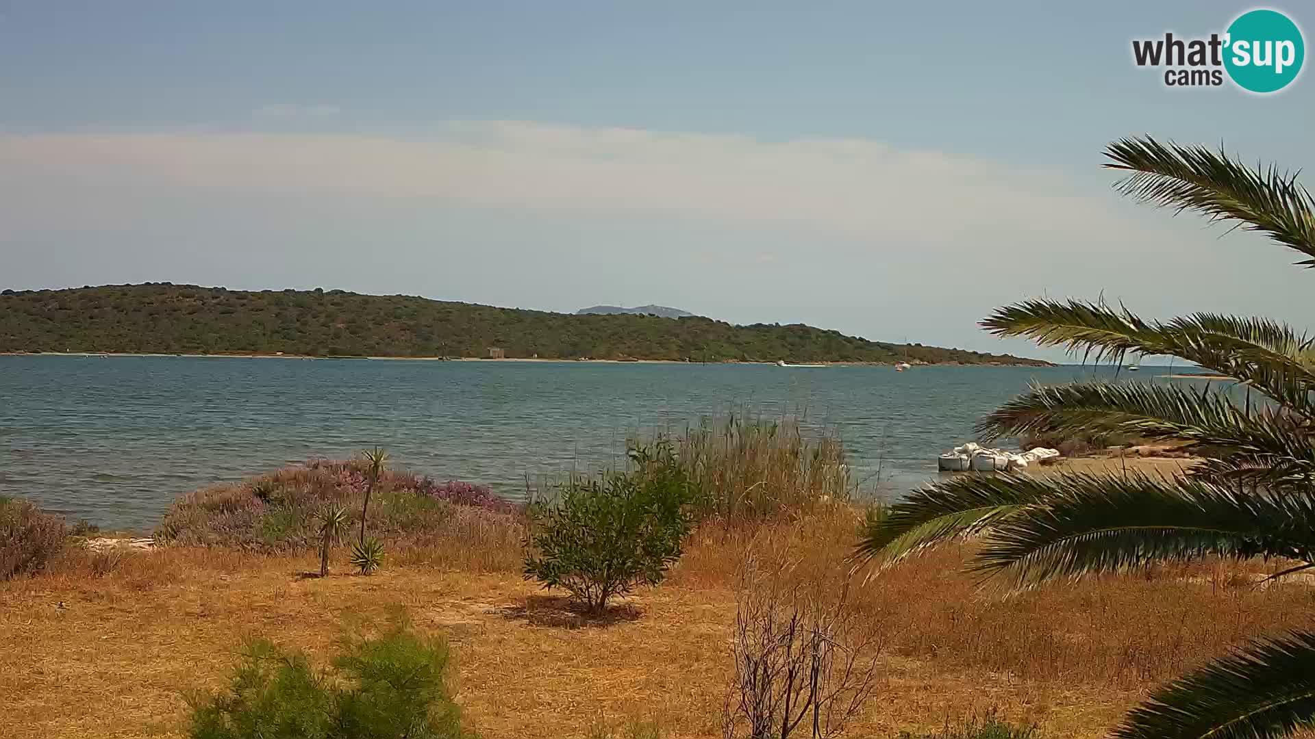 Camera web puerto de Olbia – entrada al puerto de Olbia