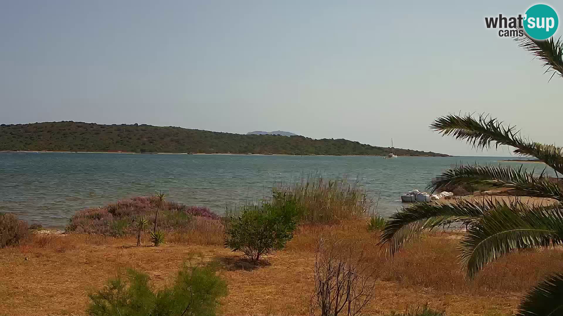 Webcam Hafen Olbia – Eingang zum Hafen von Olbia