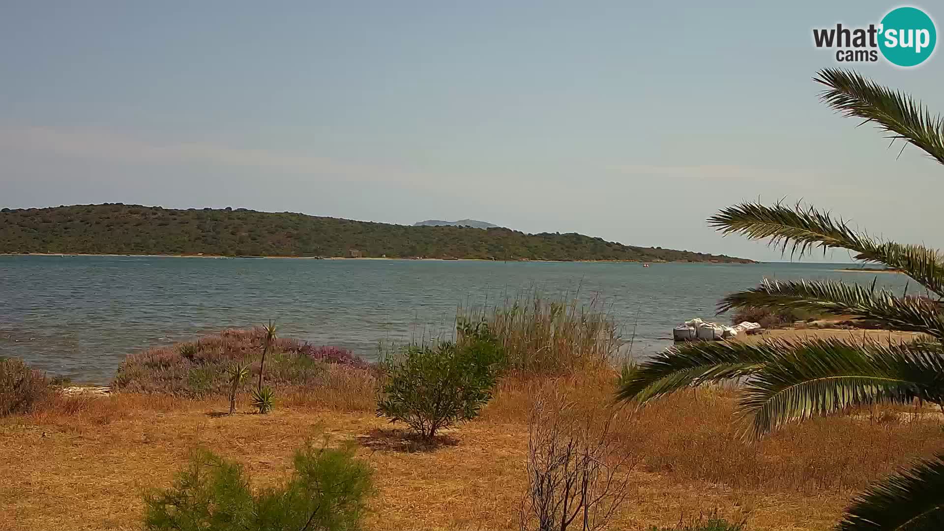 Webcam Hafen Olbia – Eingang zum Hafen von Olbia