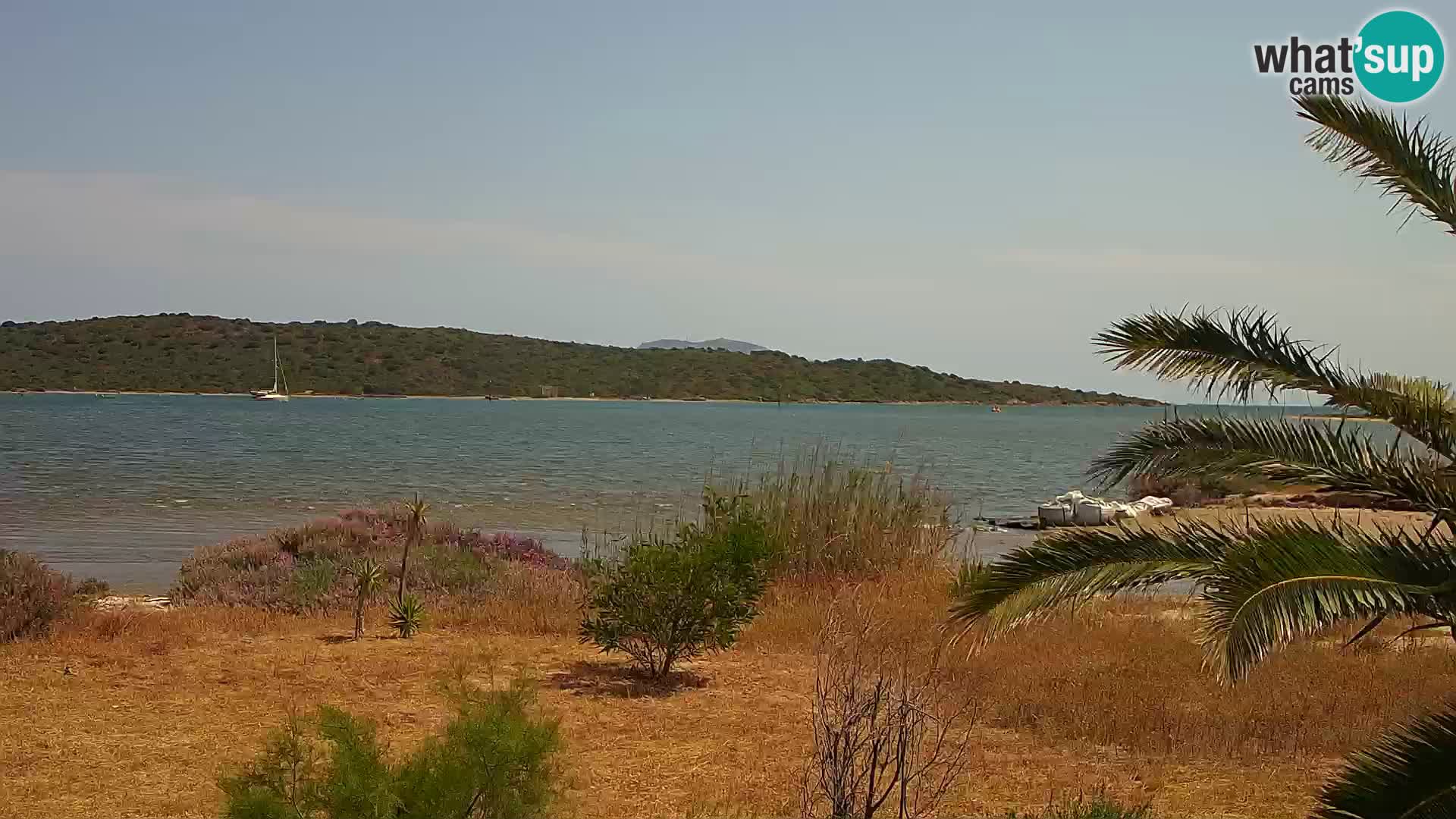 Web kamera Olbia luka – ulaz u luku Olbia