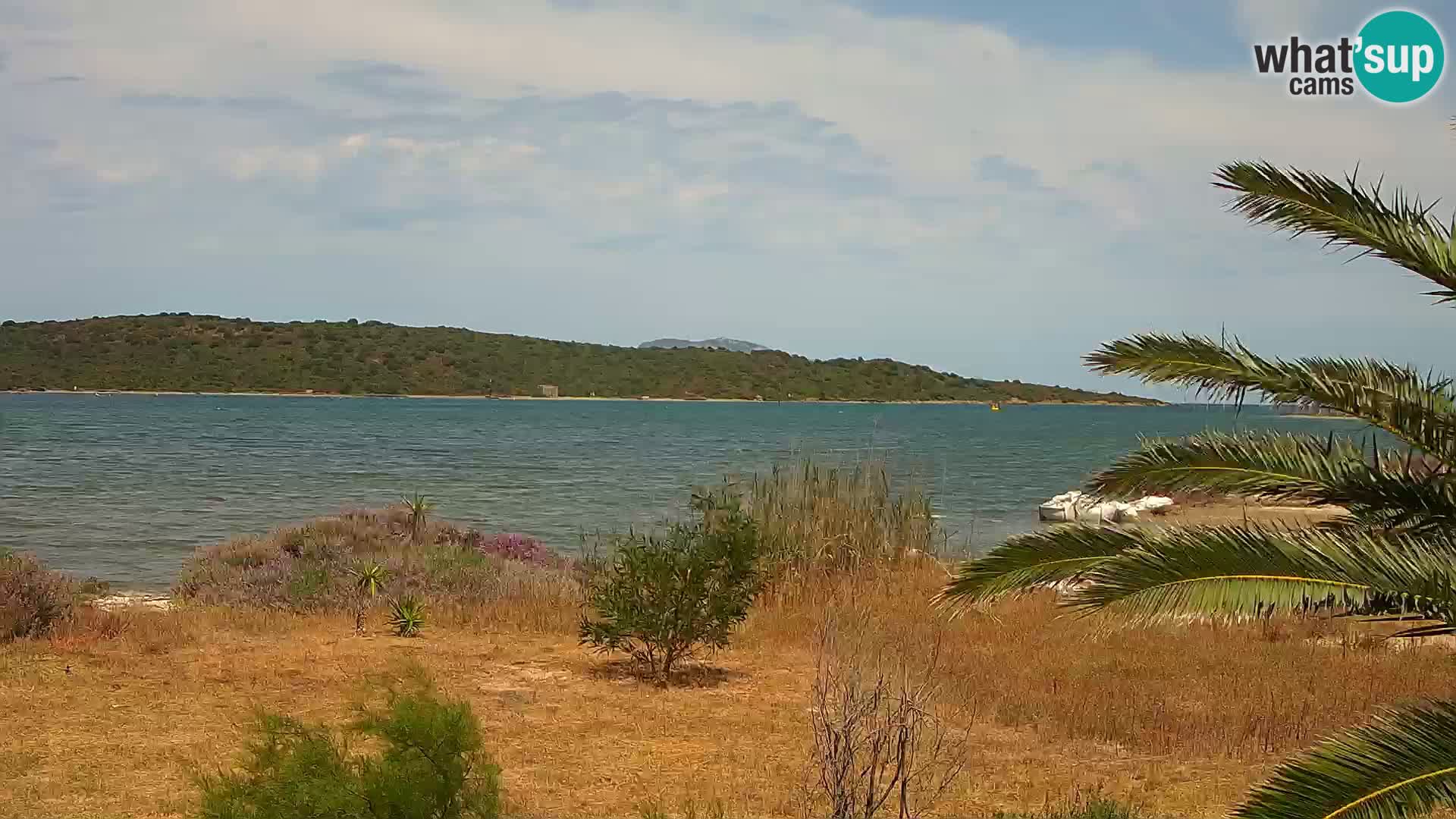 Spletna kamera pristanišče Olbia – vhod v pristanišče Olbia