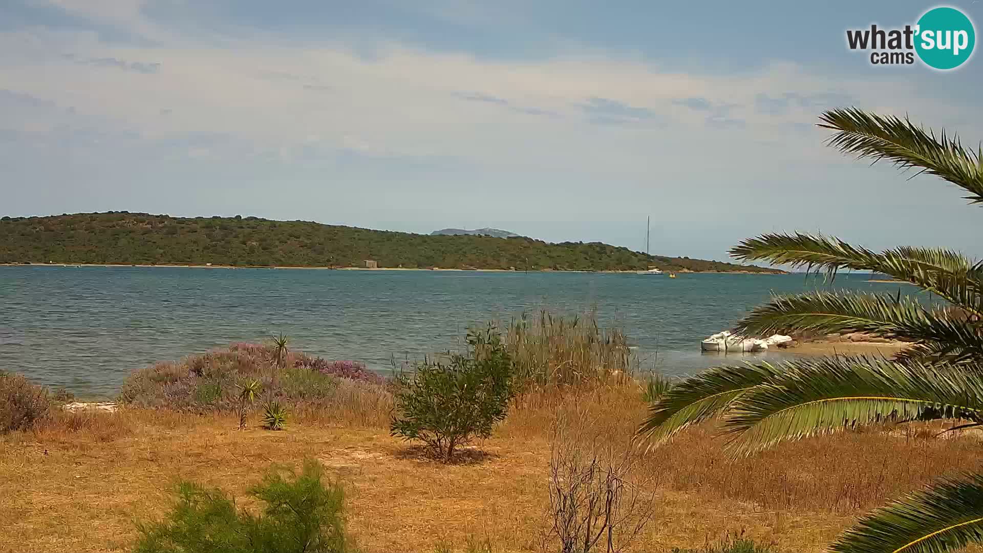 Webcam porto di Olbia – entrata nel porto di Olbia