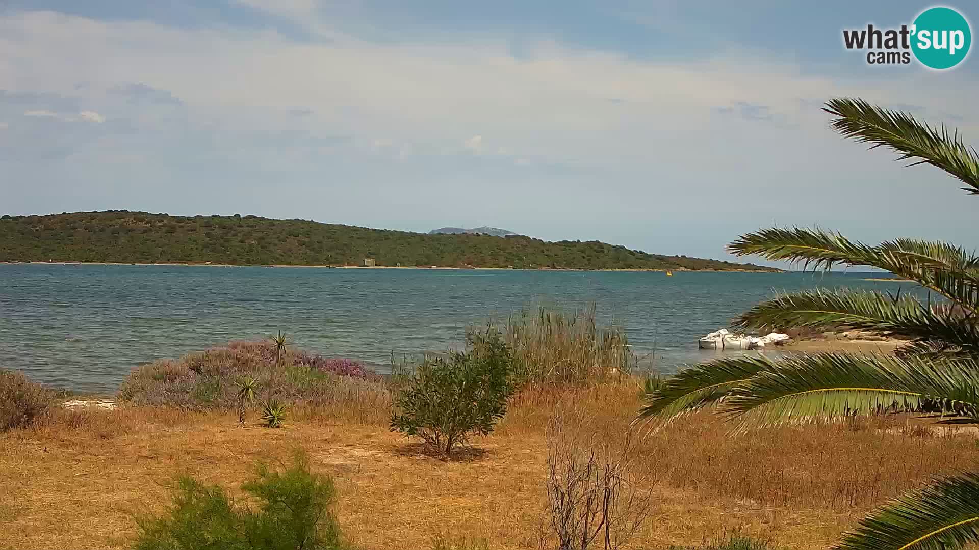 Webcam Olbia port – entrance to the port of Olbia