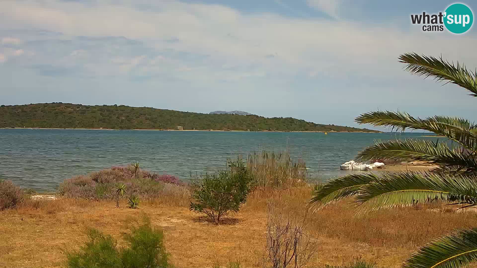 Camera web puerto de Olbia – entrada al puerto de Olbia