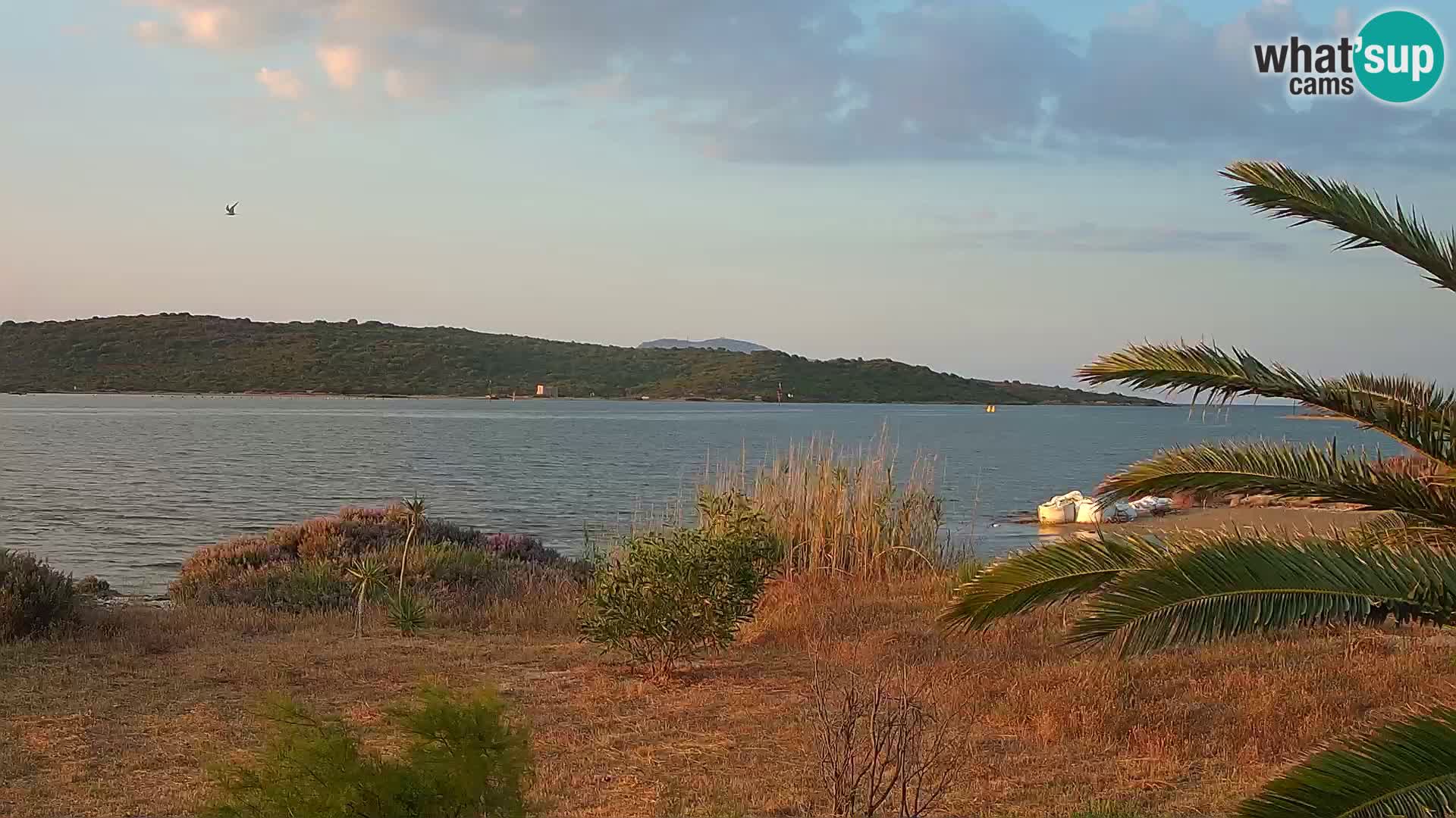 Webcam port d’Olbia – entrée du port d’Olbia