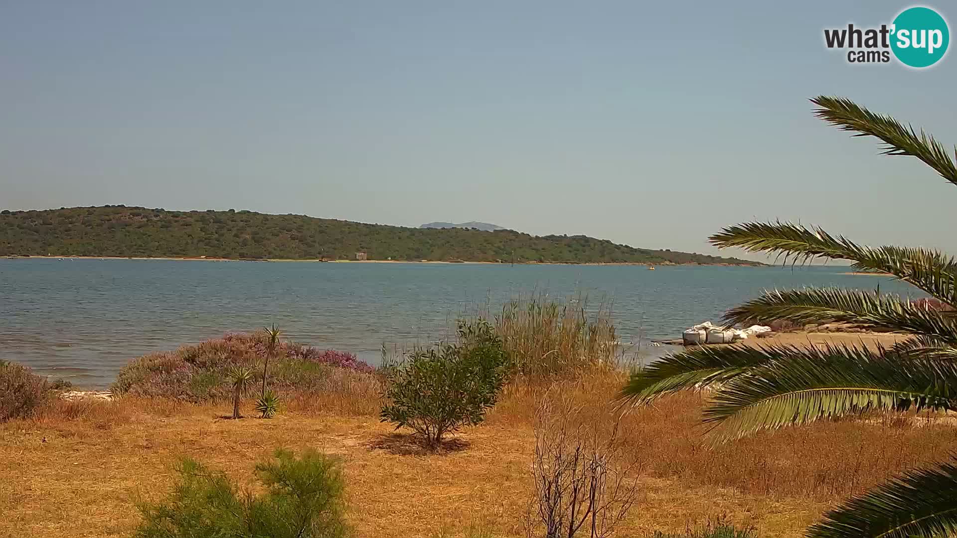Webcam Olbia port – entrance to the port of Olbia