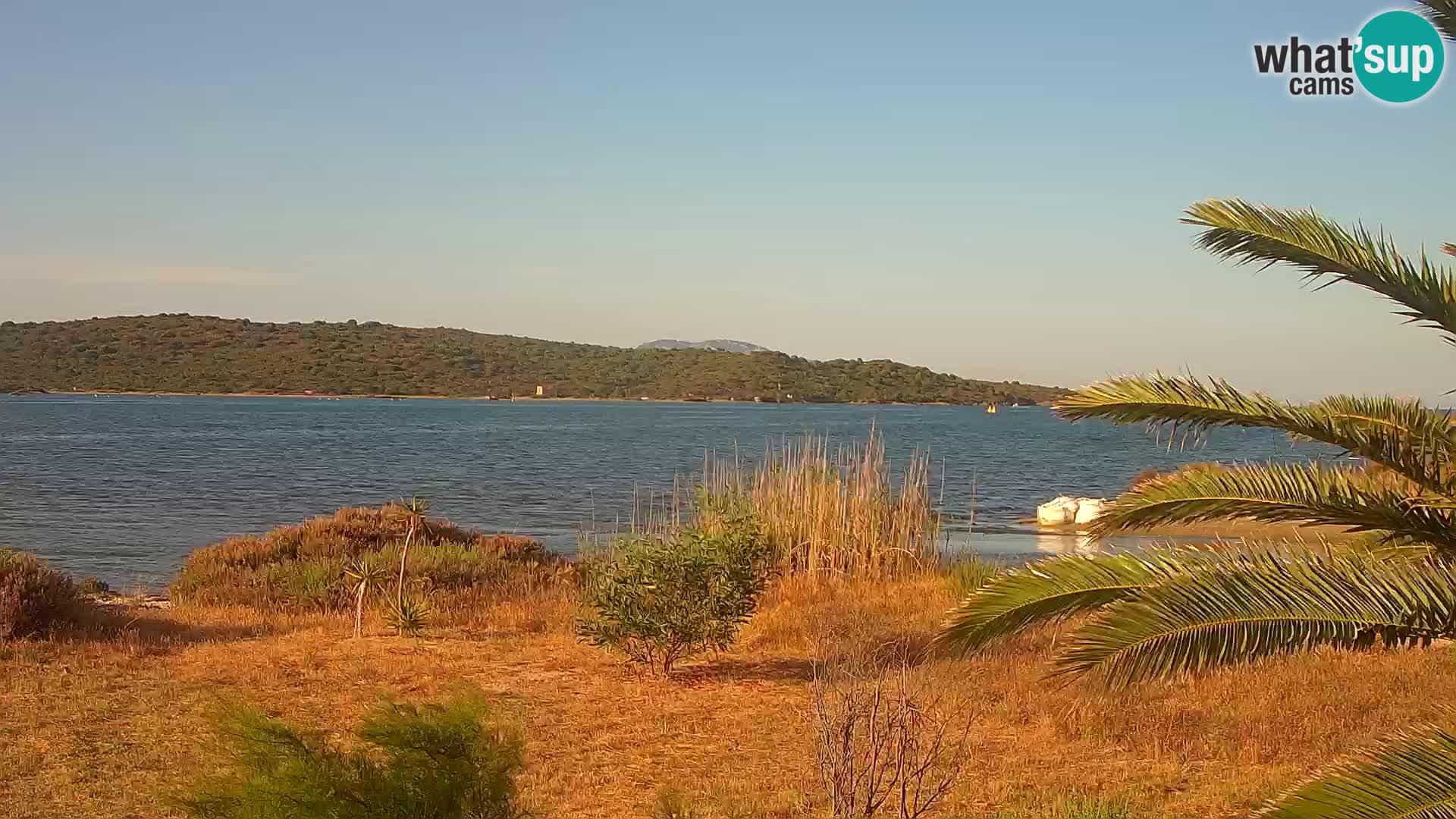 Webcam Olbia port – entrance to the port of Olbia