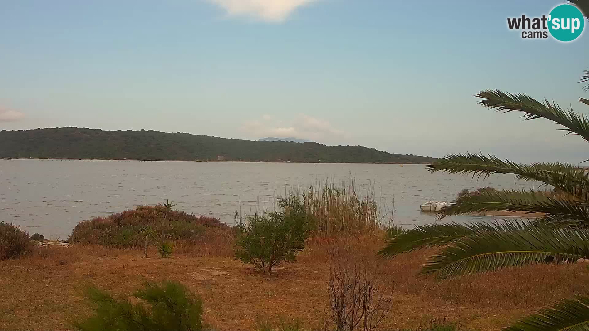 Webcam port d’Olbia – entrée du port d’Olbia