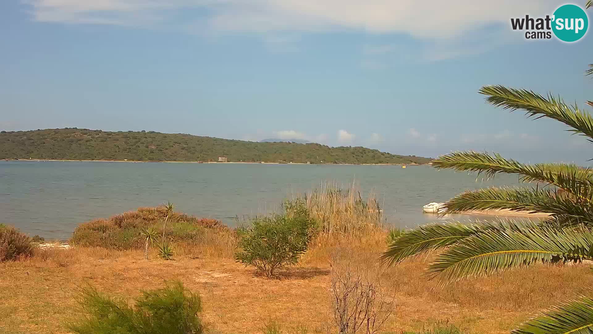 Webcam Hafen Olbia – Eingang zum Hafen von Olbia