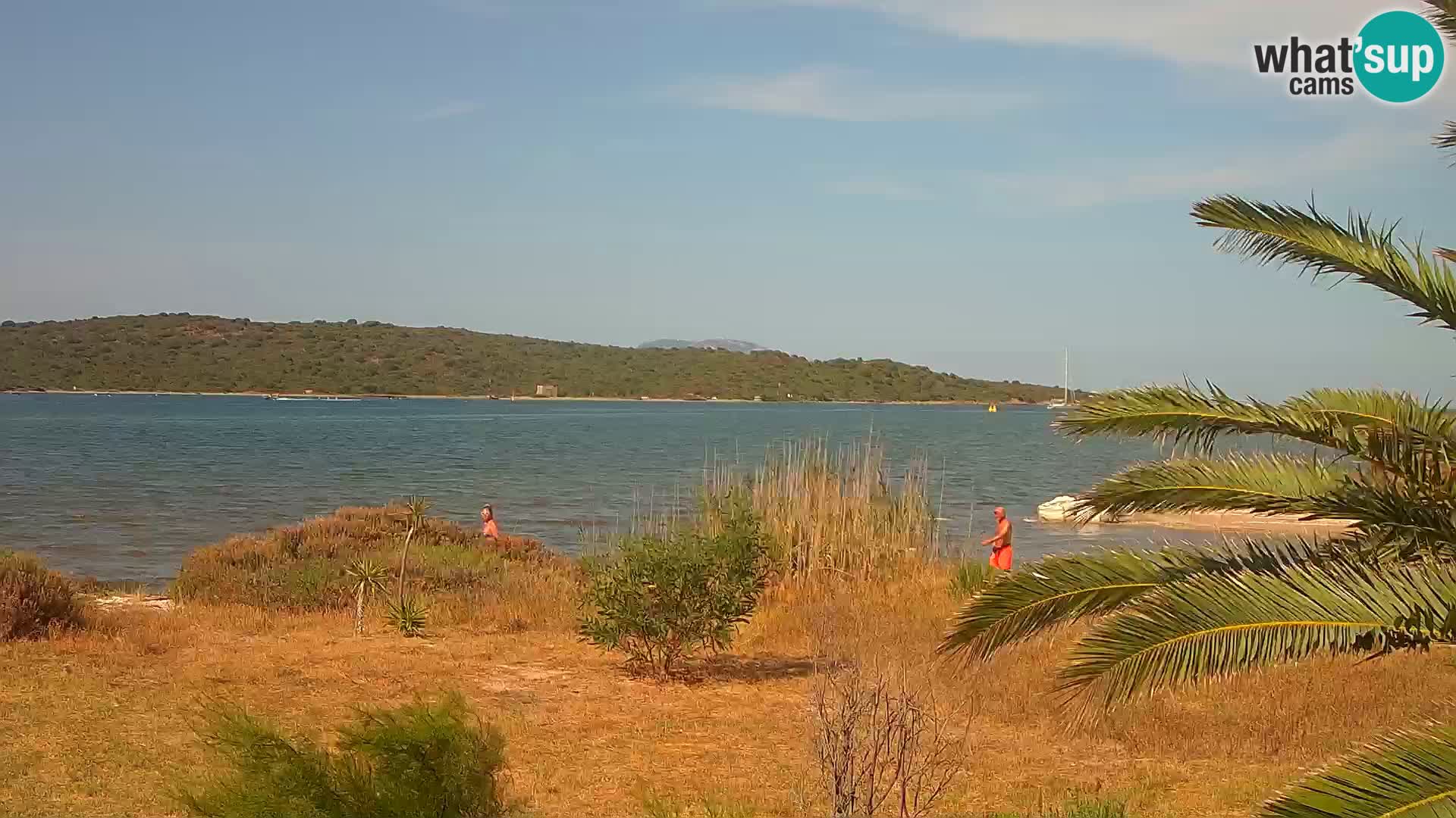 Web kamera Olbia luka – ulaz u luku Olbia