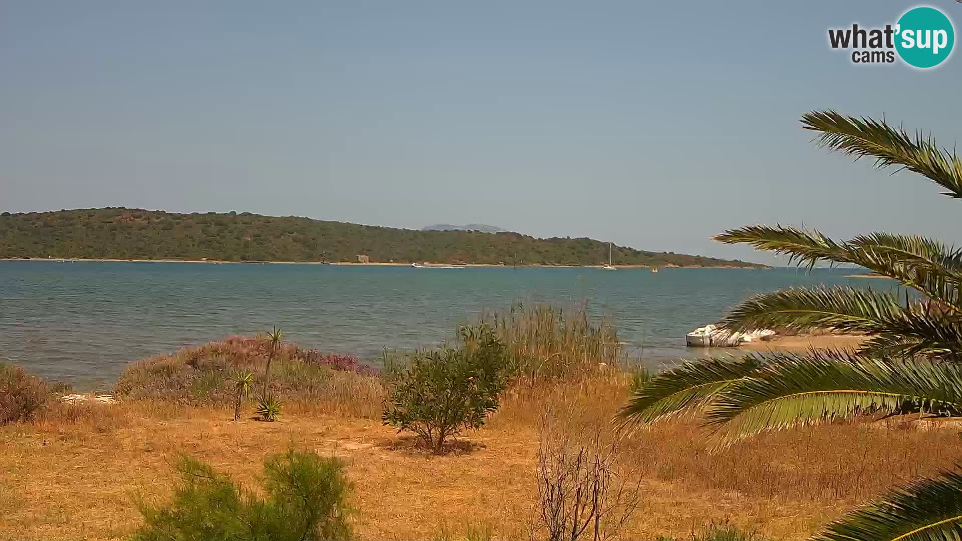 Webcam Olbia port – entrance to the port of Olbia