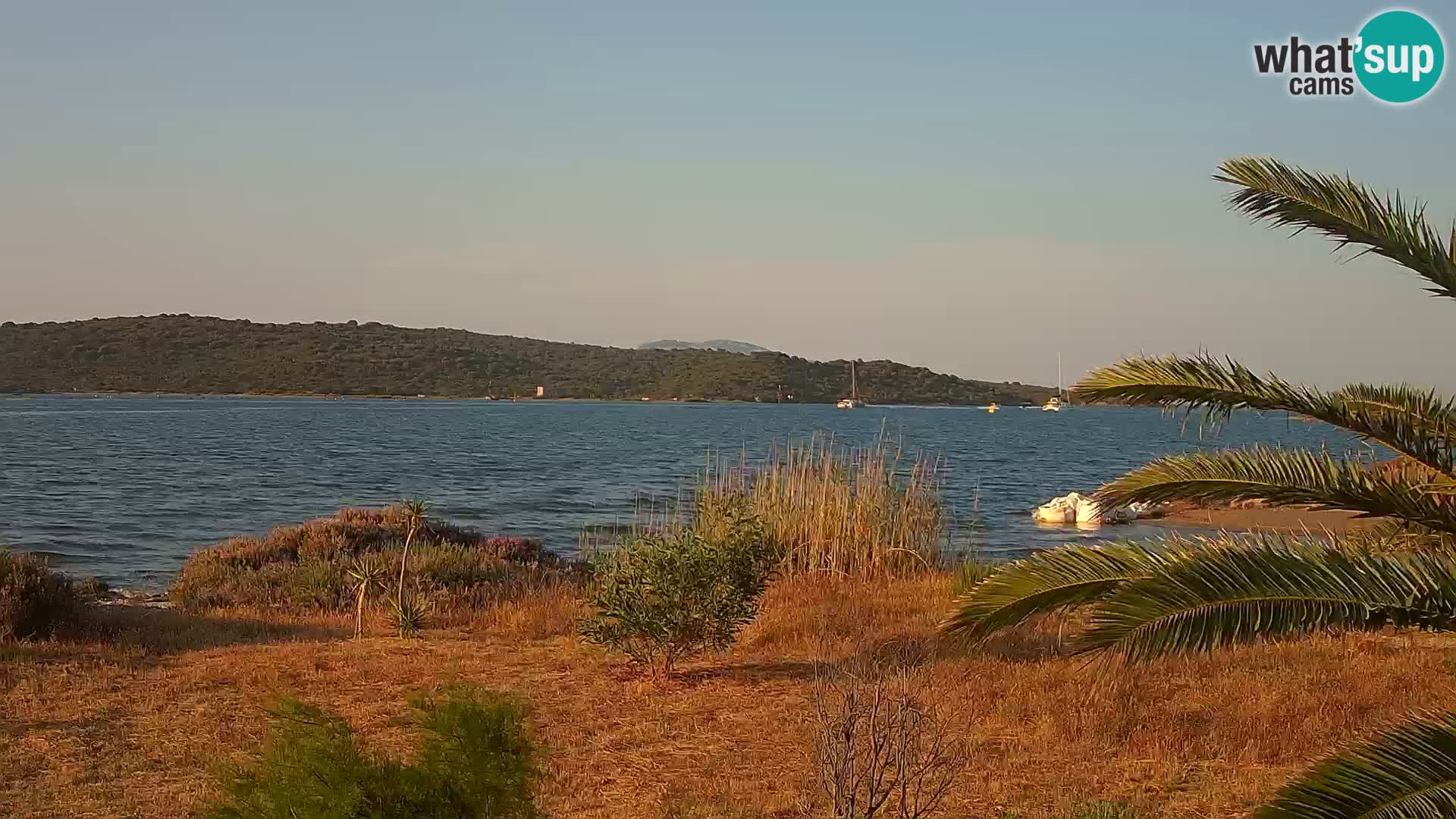 Webcam Olbia port – entrance to the port of Olbia