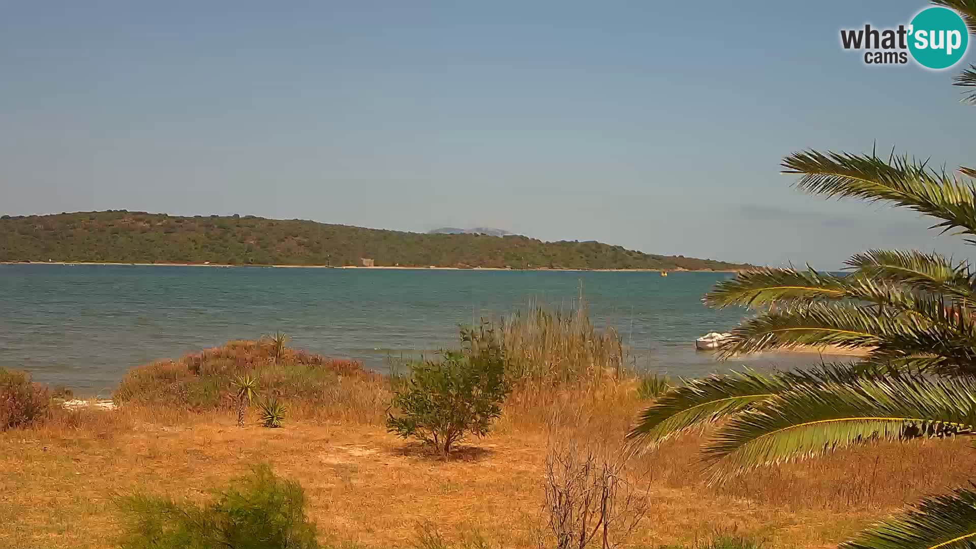 Camera web puerto de Olbia – entrada al puerto de Olbia
