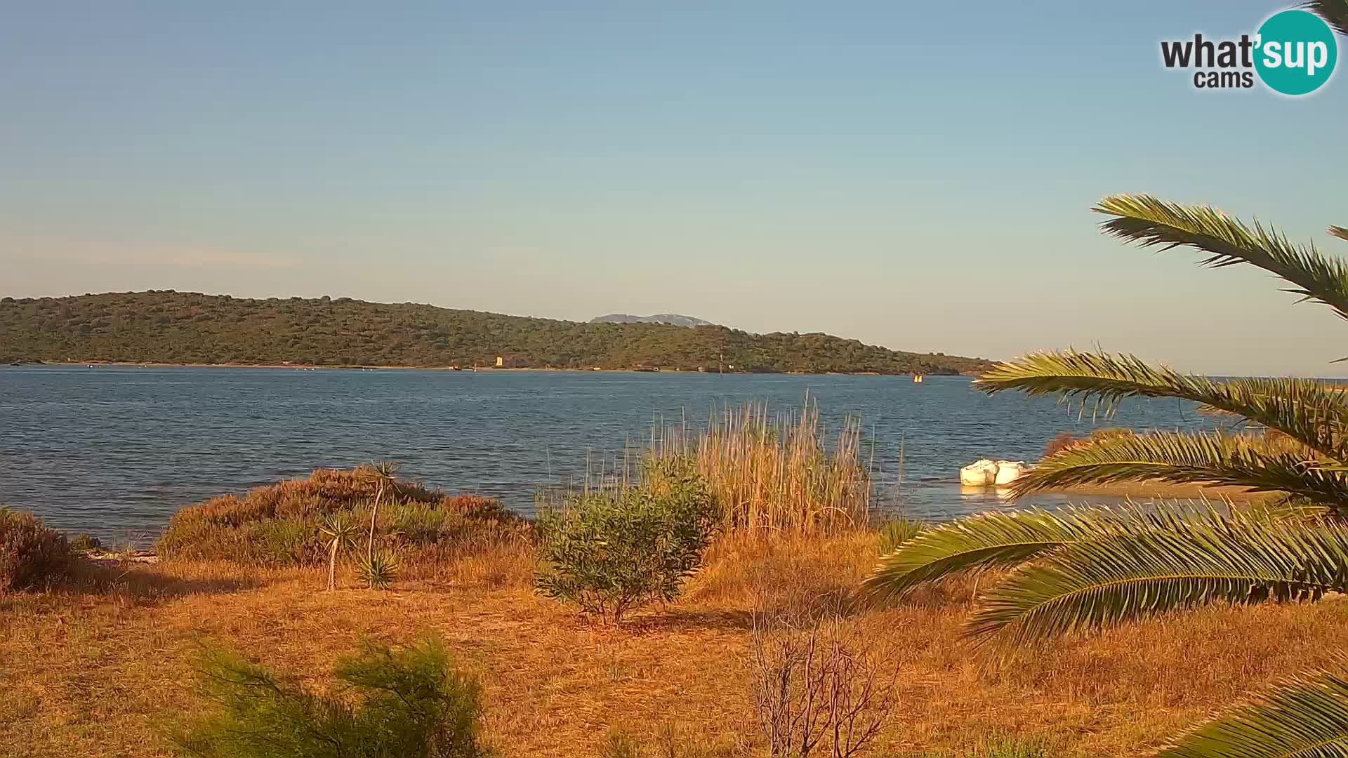 Webcam Hafen Olbia – Eingang zum Hafen von Olbia