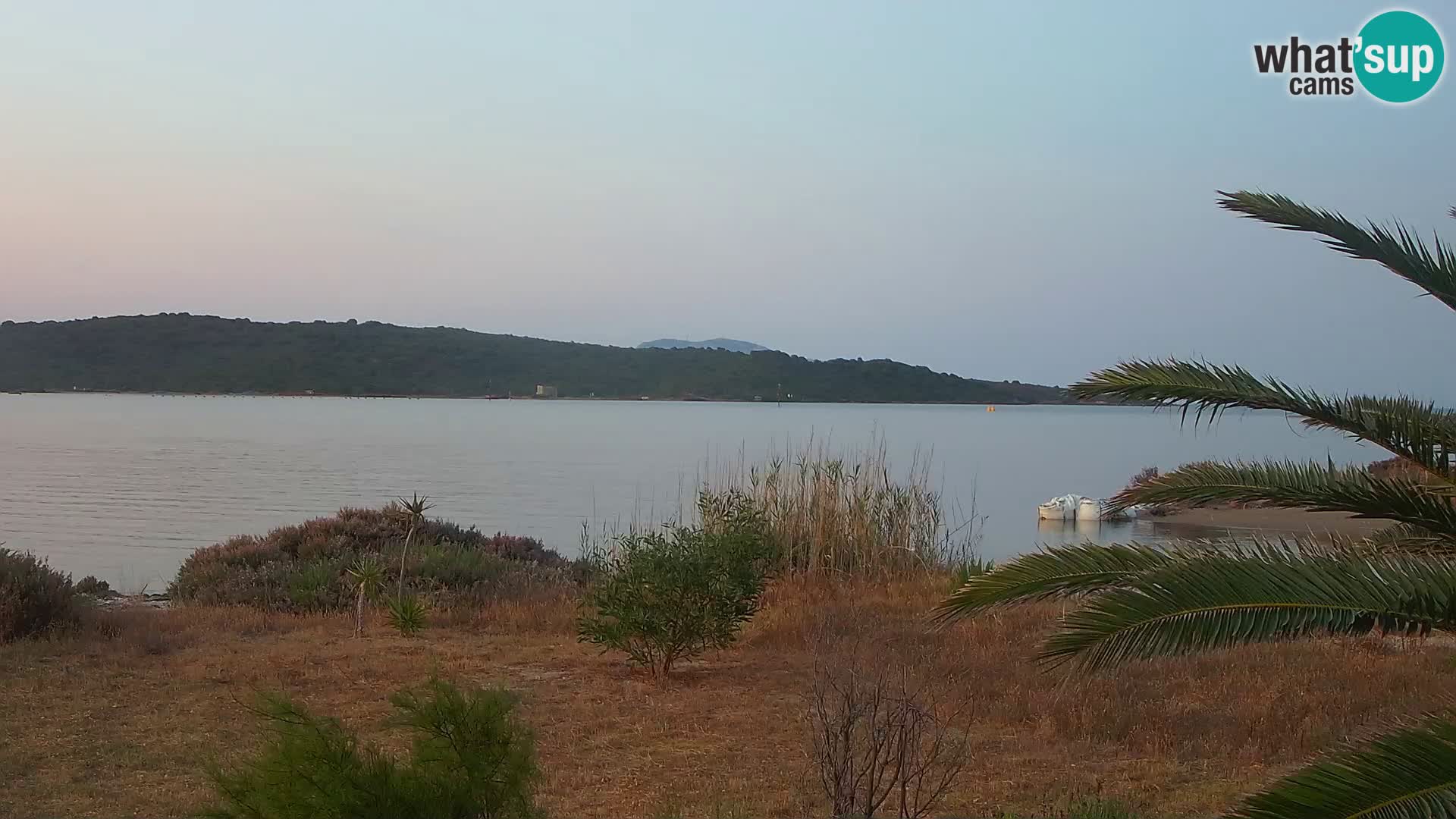 Webcam porto di Olbia – entrata nel porto di Olbia